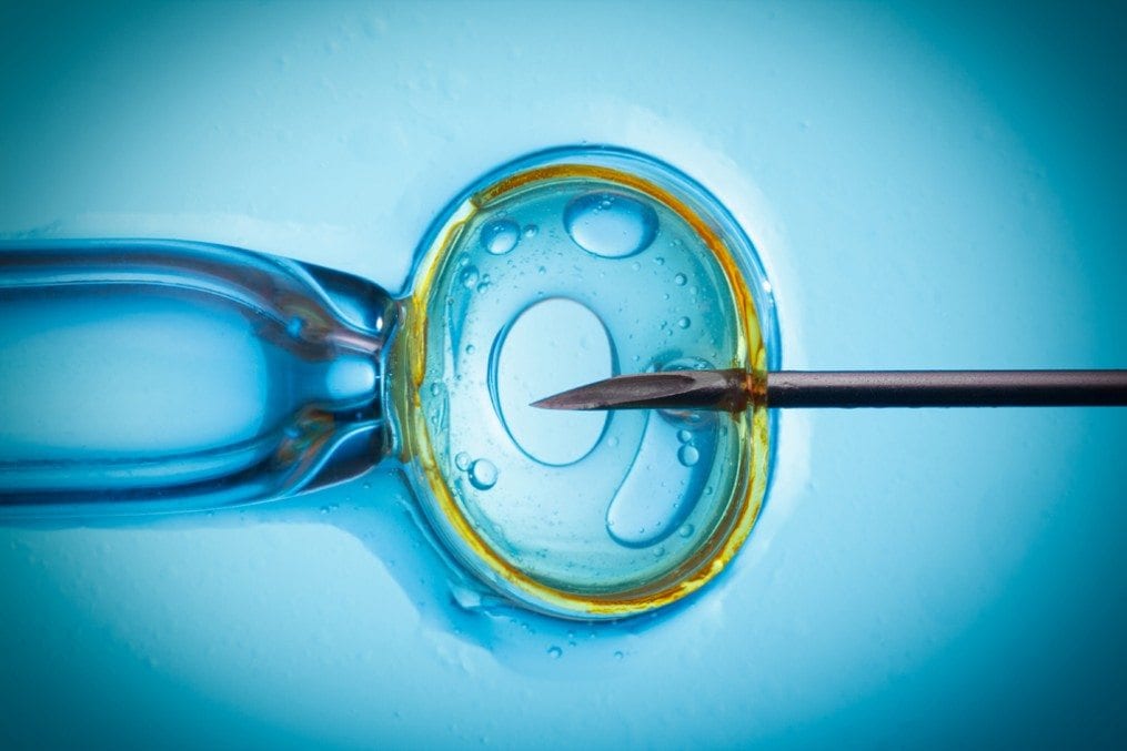 Fertility